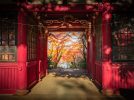 【松戸市】ジモト風景 〜紅葉の庭へようこそ。本土寺へ〜