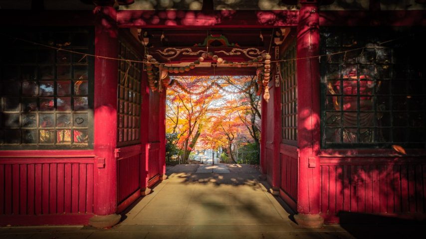 【松戸市】ジモト風景 〜紅葉の庭へようこそ。本土寺へ〜