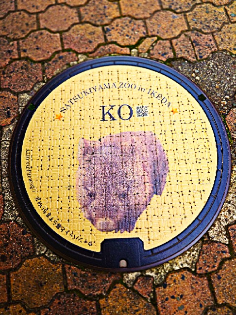 ウォンバットマンホール