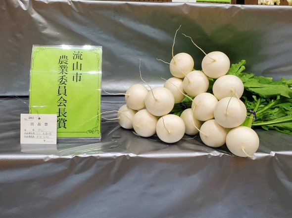 流山市農業共進会　カブ　なかだFarm