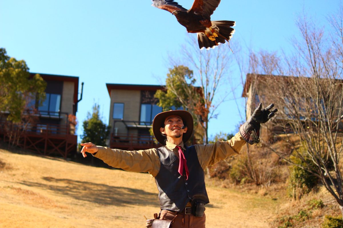 タカのフライトショーはお手のもの