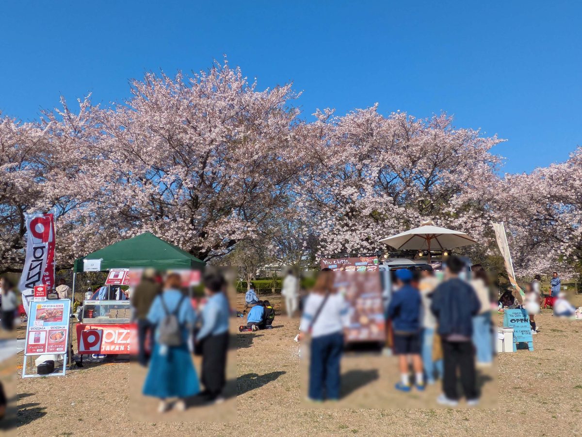 昨年（2025年）の地域防災まつりの様子。桜が満開でした。そういえば今年（2026年）はイベント名称に「桜」の文字が付いて「地域防災桜まつり」となったようです。