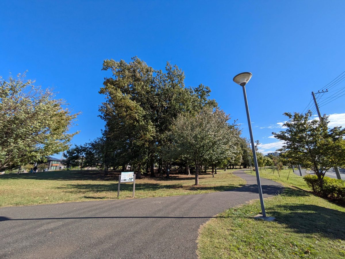 整備された十太夫近隣公園