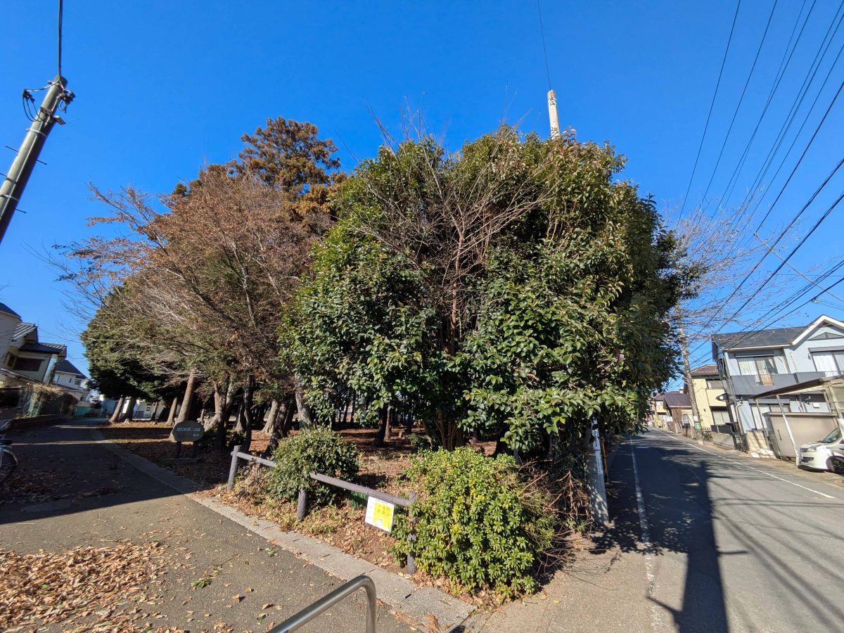 緑豊かな関場町第二公園