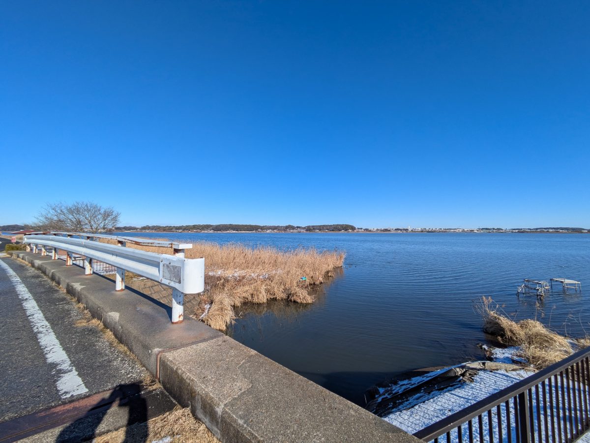 染井入落が手賀沼に流れ込むところ