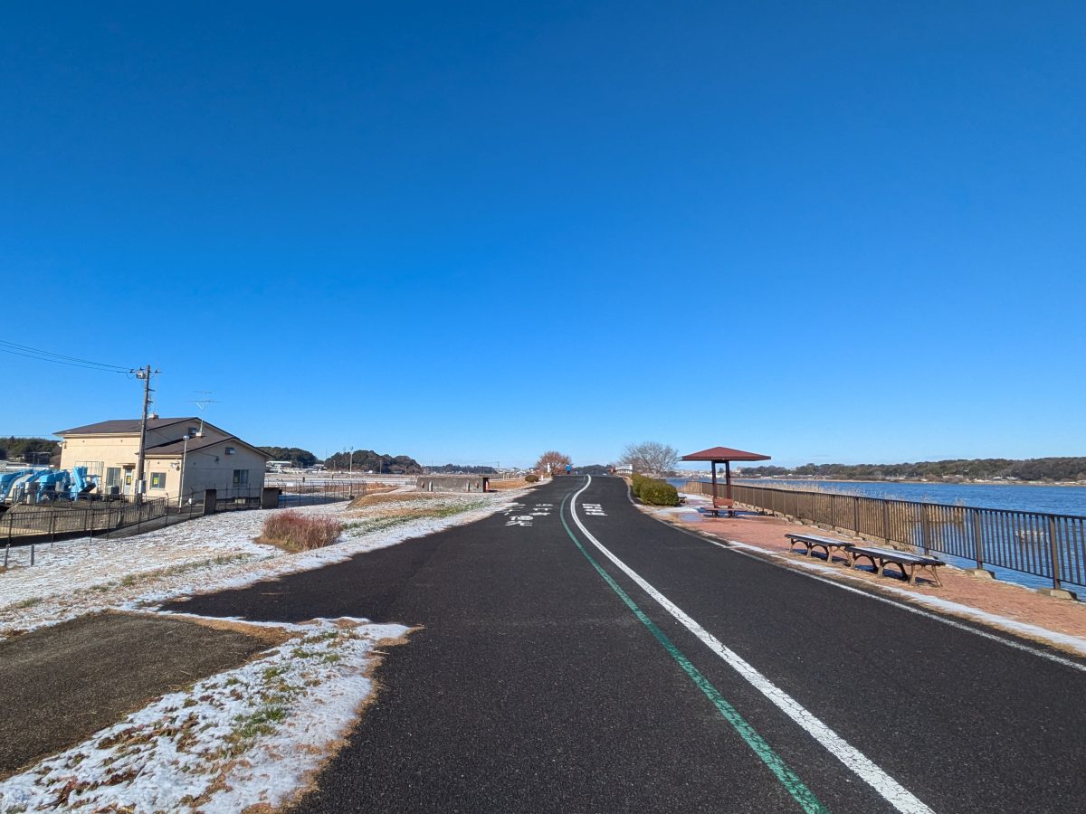 泉村新田側から染井入新田を見たところ。左端の建物が泉揚水機場、道路の先の少し盛り上がったところが日の出橋、右側の水面は手賀沼。その右の森は我孫子市岡発戸。