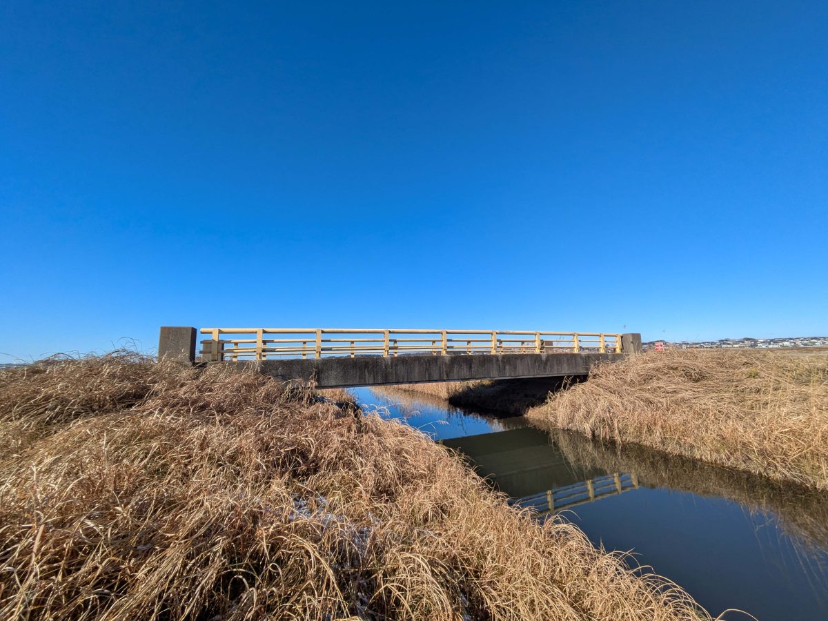 初鯉橋を横から見た様子