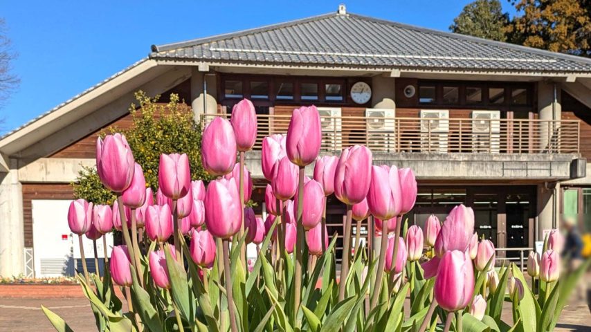 【柏市】2026年2月8日(日)「あけぼのハンドメイドフェスタ」「青空フリーマーケット」開催！ in あけぼの山農業公園