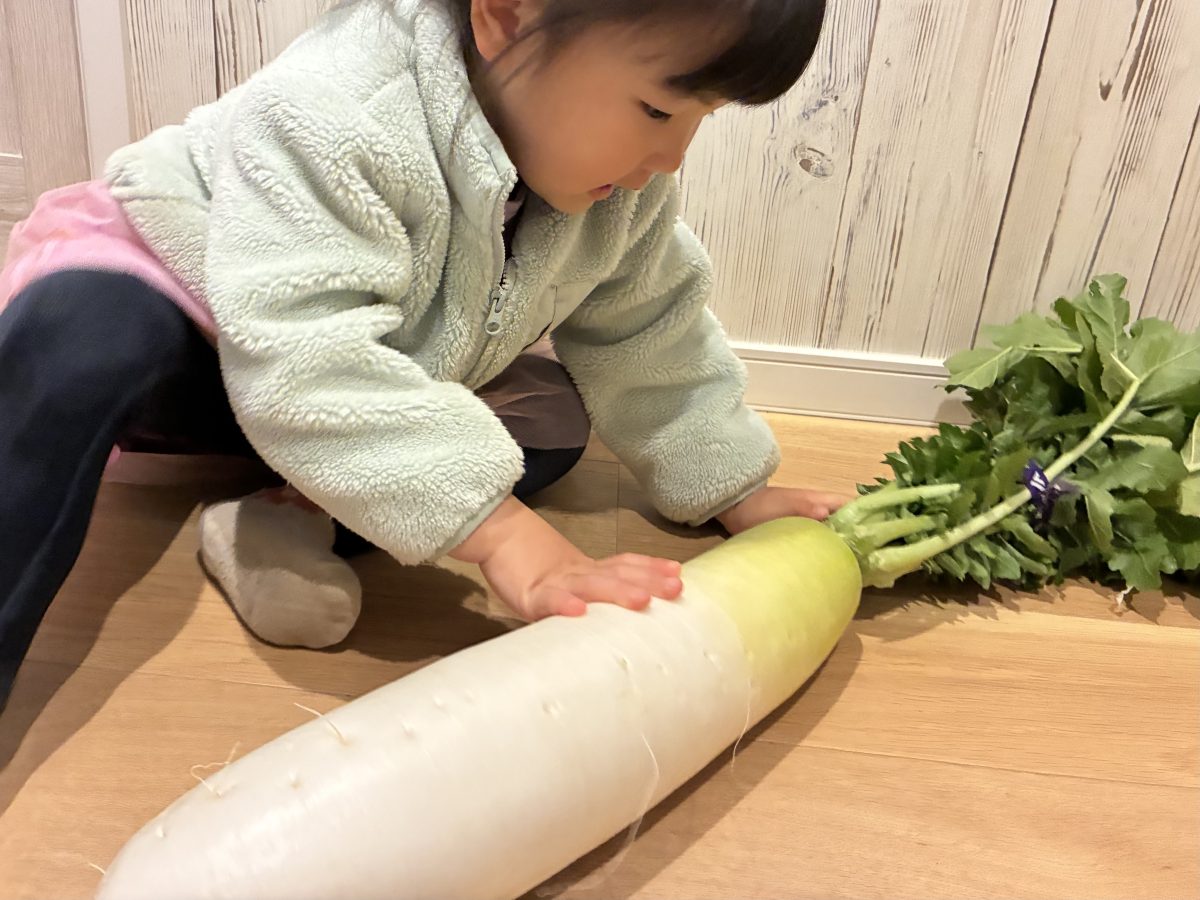 【流山市】なかだfarmで特大サイズの大根と美味しいカブをGET！色々な料理に挑戦♪