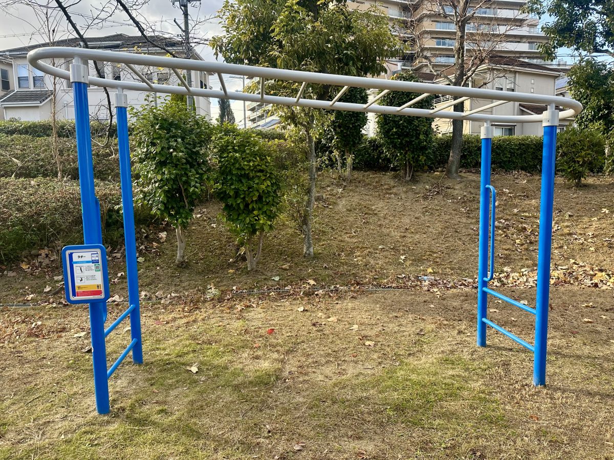 大人になった今こそ挑戦したいラダー