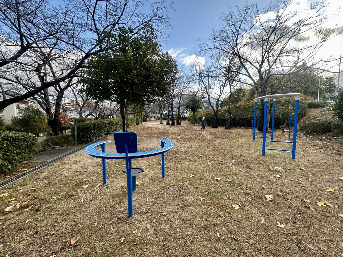 冬空の下静かに春を待つ桜の並木