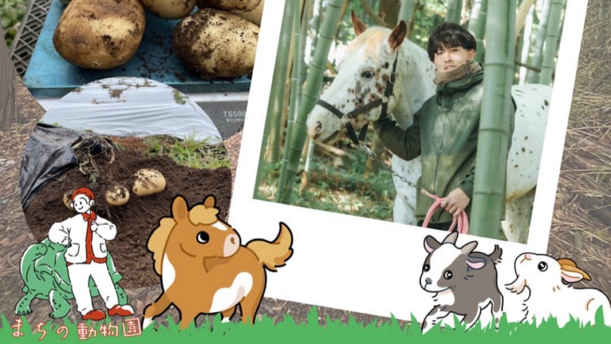 【流山市】参加申し込みスタート！「わぁ♡お馬さんだ！」2026年・午年に楽しむ、まちの動物園ふれあいイベント1/18(日)開催！