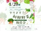 【柏市】今年もやります！若手農家が作った新鮮野菜販売会1月20日開催