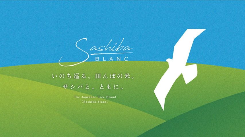 【柏市】絶滅危惧種の猛禽類が舞う空を守る。「サシバ・ブラン」誕生！～いのちを巡る田んぼの米～