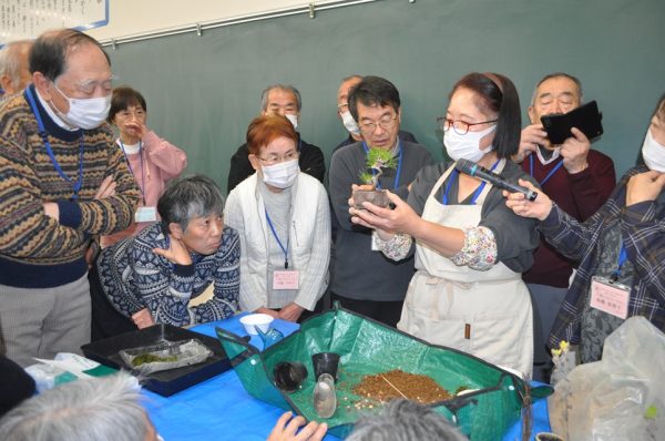 菊の盆栽づくりを学ぶ