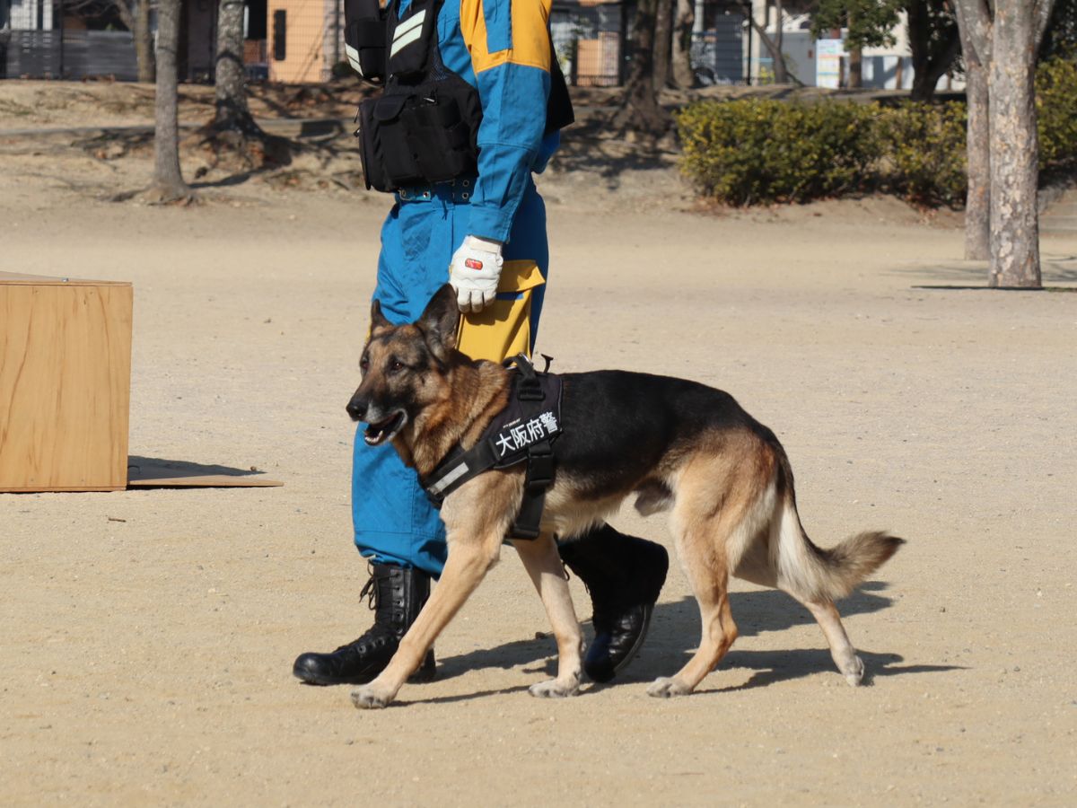 大阪府警の警備犬による訓練を間近で見学。 会場の空気が一気に引き締まりました。