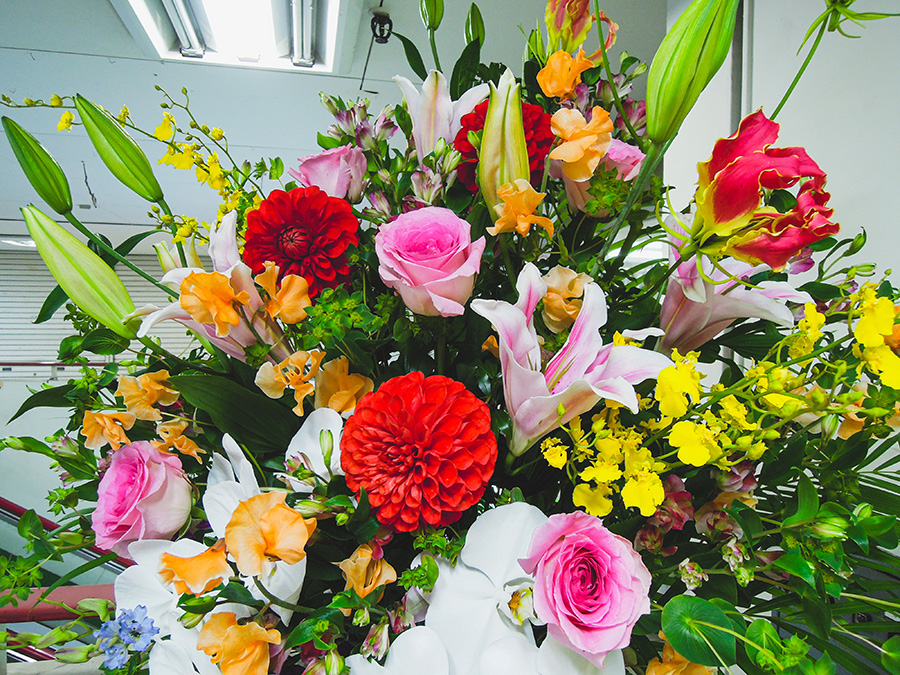 【吹田市】花の種類が豊富な「KCフラワー」で心ときめく時間を！