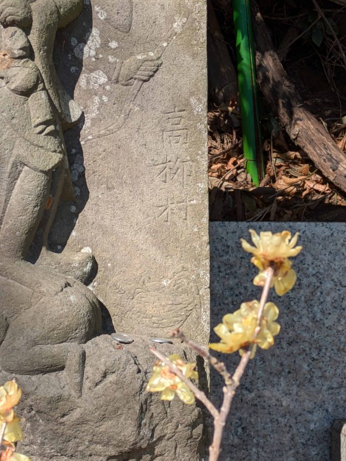 確か高柳にある「かにうちの森」近くの坂の上にロウバイがあったような。近くの庚申塔にもロウバイが供えてありました。「高柳村」の文字にフォーカスして撮ったものなので花はぼけてます。