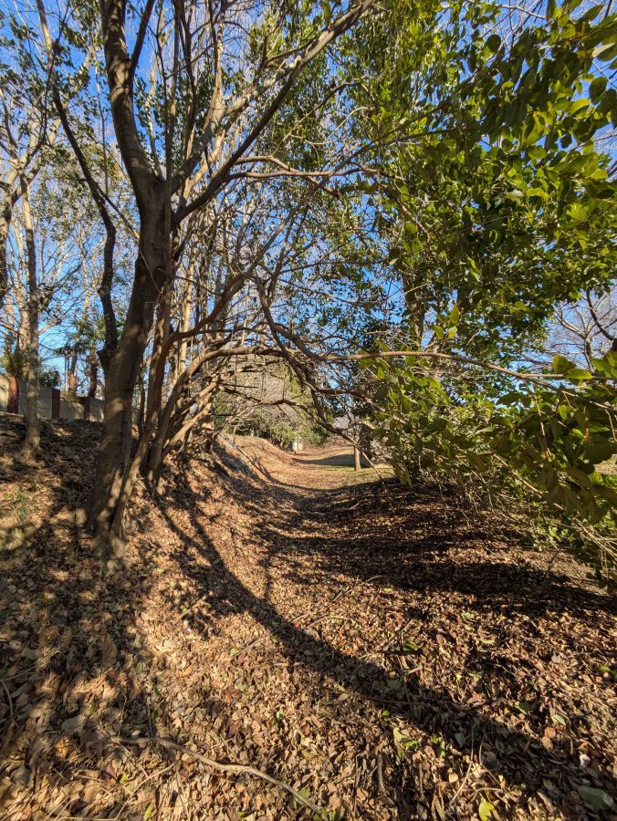 高田小学校の南側にある野馬土手
