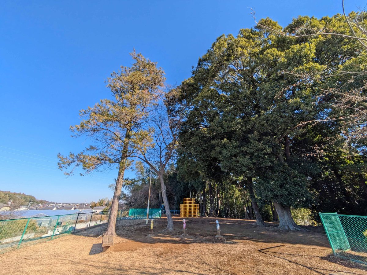 公園内。遊具も多少あり。