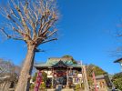 【柏市】季節の御朱印～令和8年2月の御朱印は･･･＠柏神社、羽黒神社、八坂神社、諏訪神社、豊受稲荷本宮、大洞院