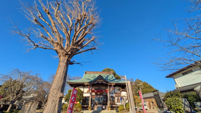 【柏市】季節の御朱印～令和8年2月の御朱印は･･･＠柏神社、羽黒神社、八坂神社、諏訪神社、豊受稲荷本宮、大洞院
