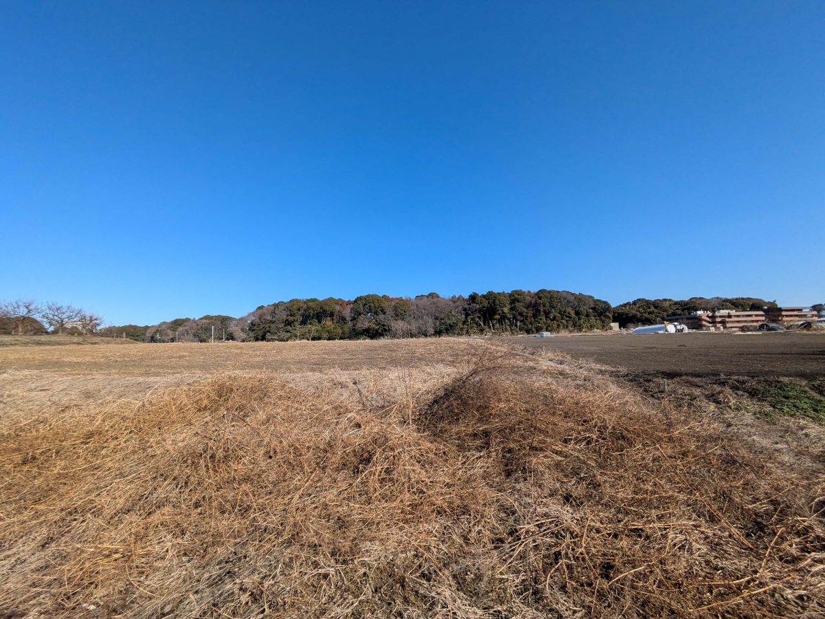 コースの途中の景観