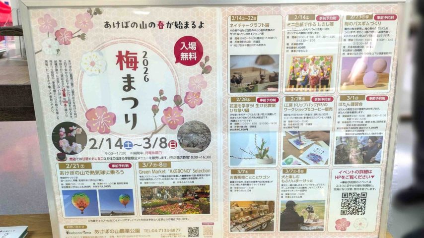 【柏市】春の訪れを感じに！あけぼの山農業公園で「梅まつり」開催！2026年2月14日(土)～3月8日(日)