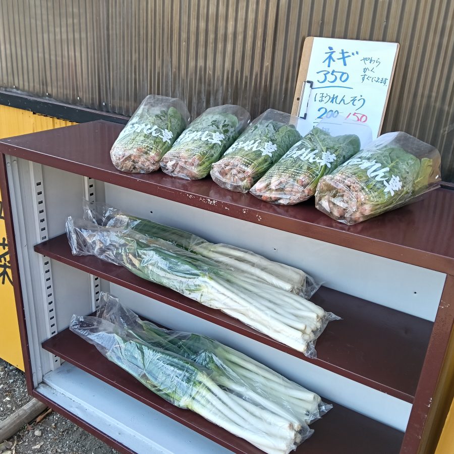運がよければ新鮮なお野菜がある日も