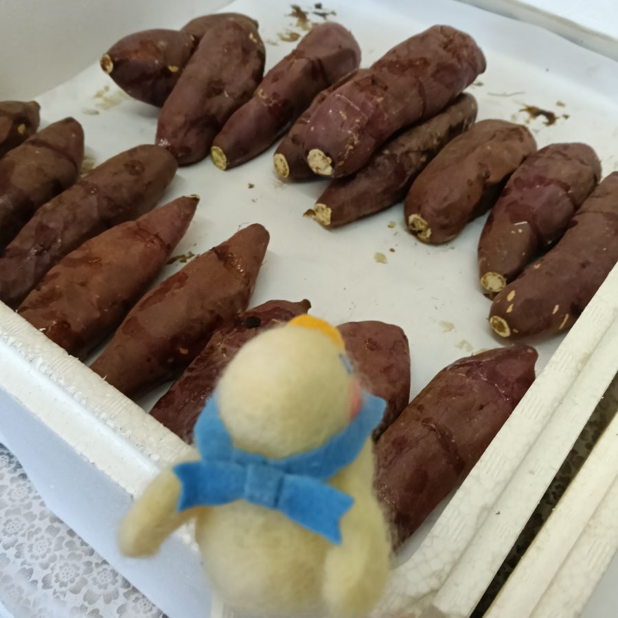 値段は大きさによって150円~400円くらいとお手頃!