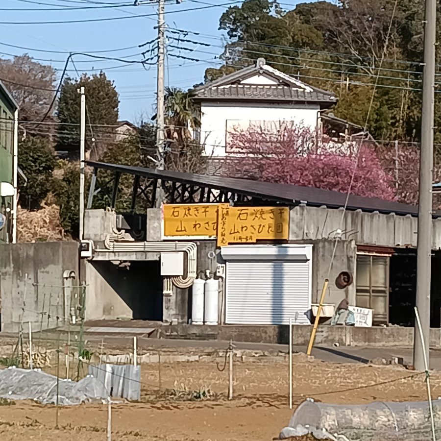 のぼりの奥はゆるい坂。その先に焼芋色の看板が