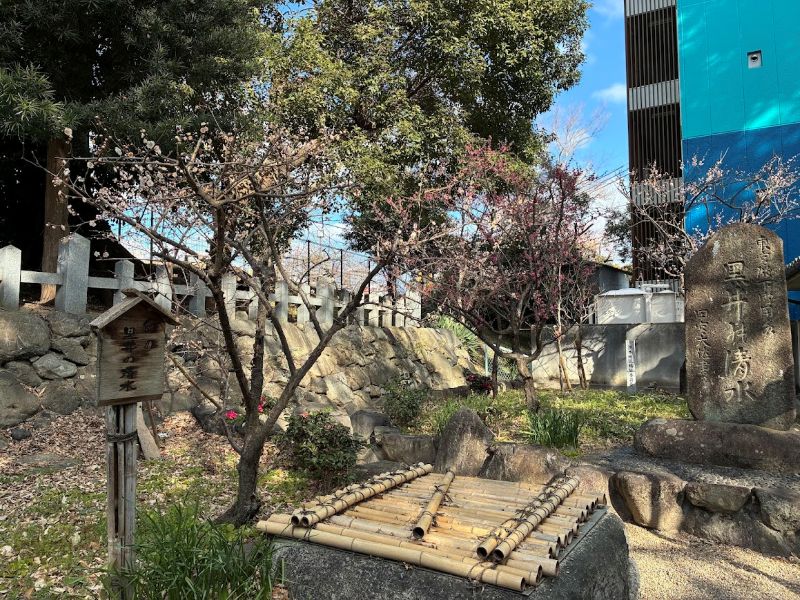 これが黒井の清水