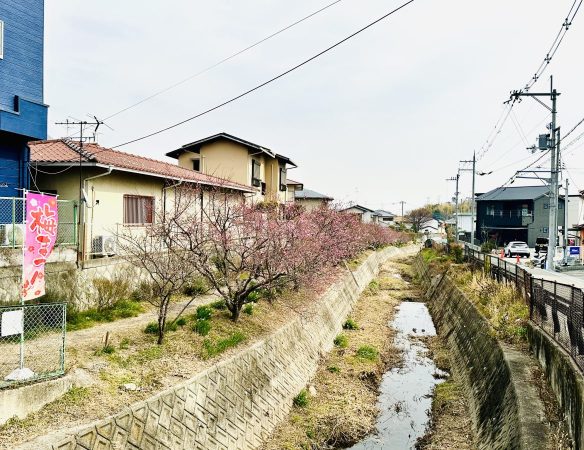 箕川