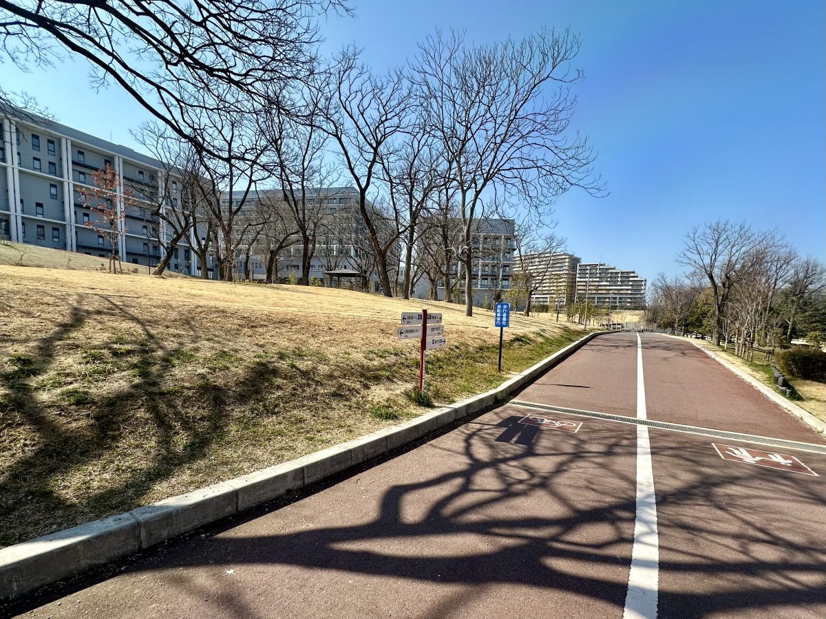 ゆるやかにつながる園路