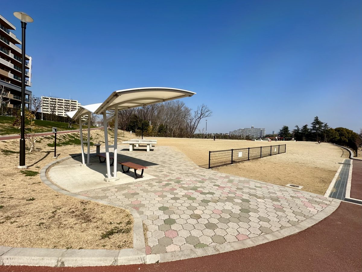 多目的広場の全景