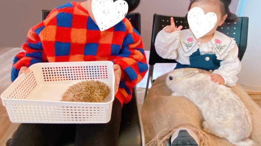 【流山市】約1,000人来場！まちの動物園2周年 可愛い動物ふれあいマーケット大盛況レポ