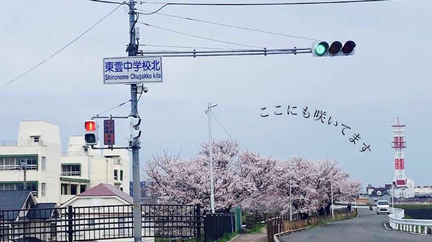 【茨木市】桜のみちを通っていたら気づいた、安威川愛にあふれるメッセージ