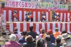 八柱さくらまつり