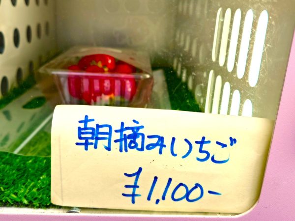 朝摘みいちごの自動販売機