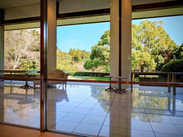 室内から見える開放的な庭の風景