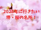 【堺市】2026年に行きたい「堺・桜の名所」3選！