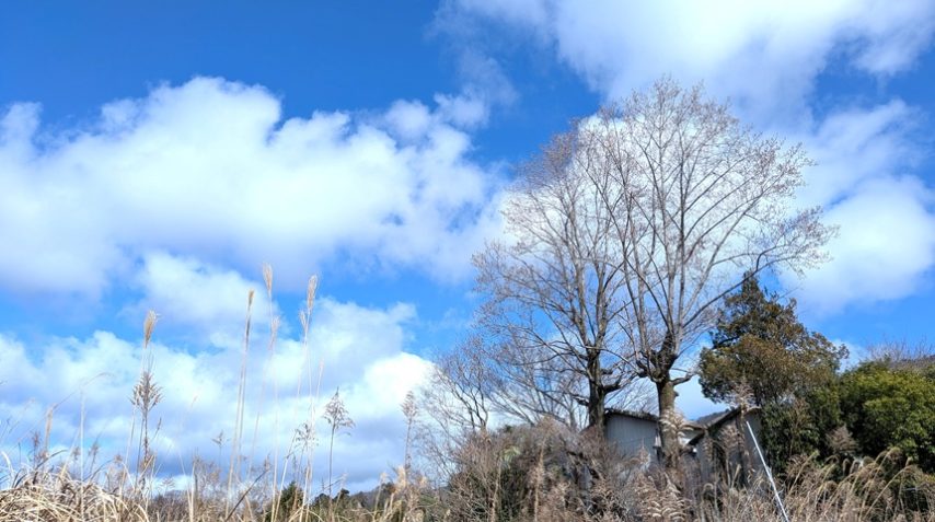 【池田市】「池田・人と自然の会」では棚田メンバーを募集中♪月に1、2回の農作業参加で米作り体験を