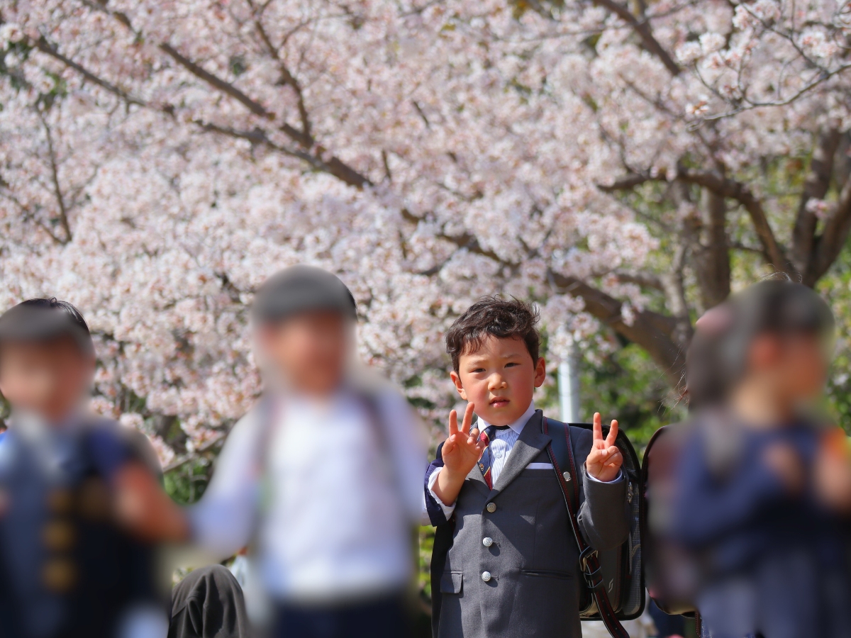 2023年4月1日撮影。満開の桜の下でランドセル撮影会。
