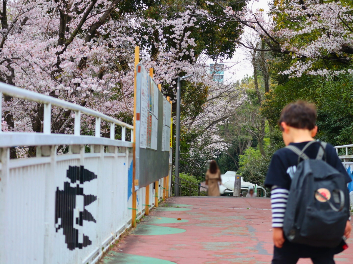 2022年3月31日撮影。千里中央駅から徒歩約15分。この“こぼれび通り”も、春は桜がきれいなおすすめルートです。