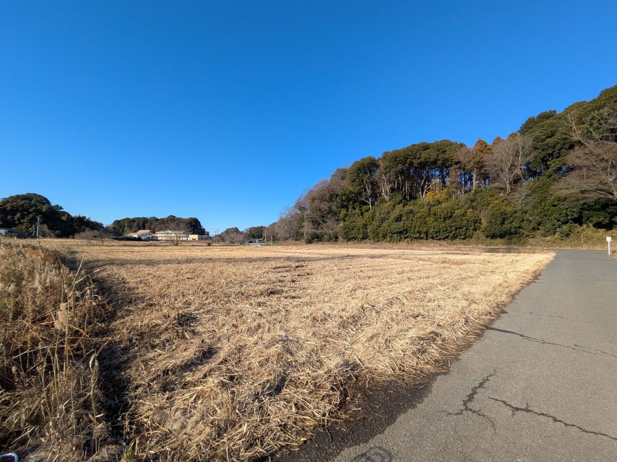 休耕田再生地の様子