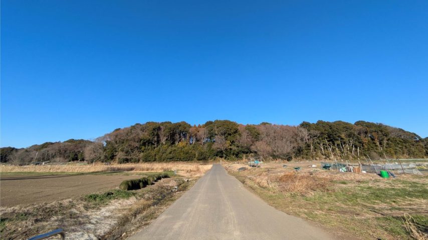 【流山市】4/5(日) ふるまぎの里山　休耕田再生プロジェクト　マコモ株分け・移植イベント開催！