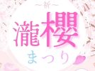 【流山市】樹齢400年の桜に包まれて♪清瀧院「瀧櫻まつり2026」3/29開催・ライトアップも