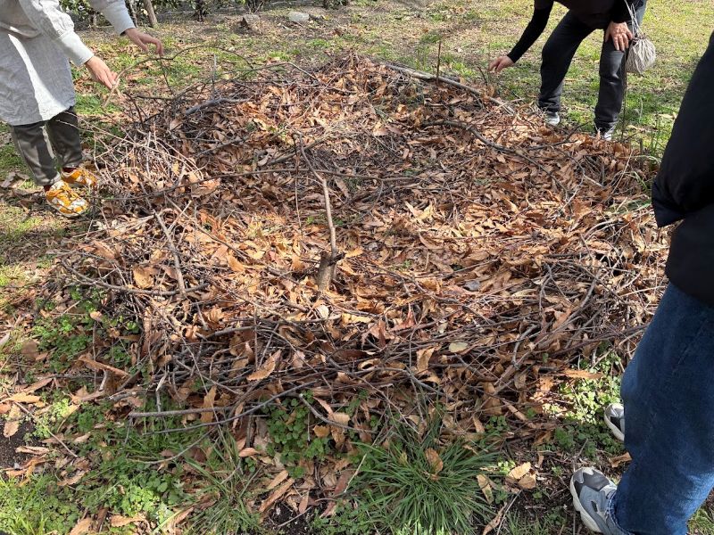 これがその、バイオネストです