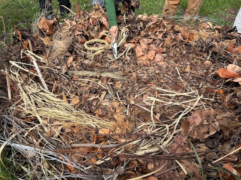 2号は巣に竹を使っていたり、いろいろ実験中とのこと