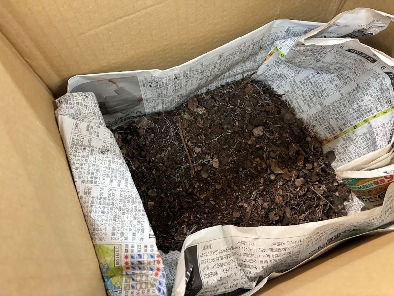 これがインク作りに使う腐葉土